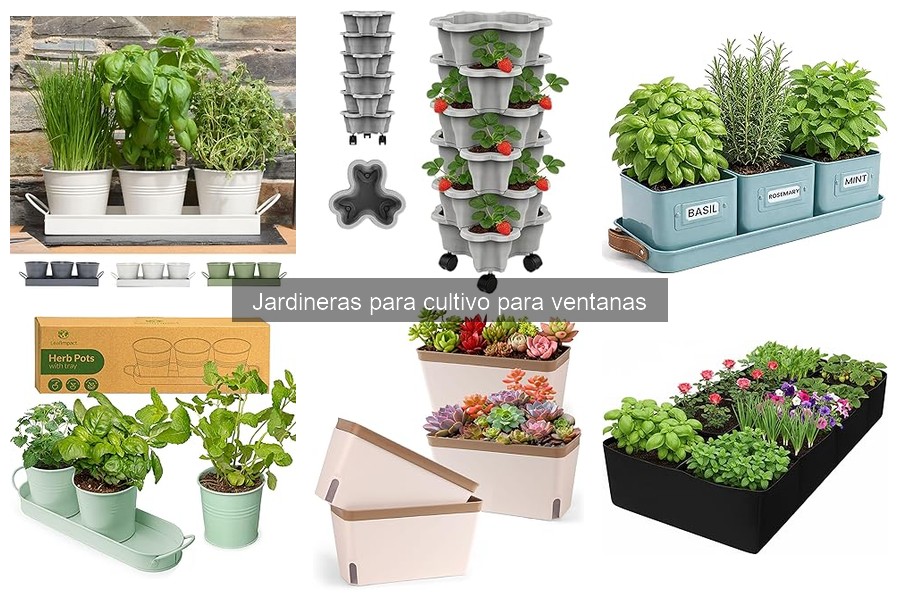 Cómo prevenir plagas en jardineras para cultivo en ventanas