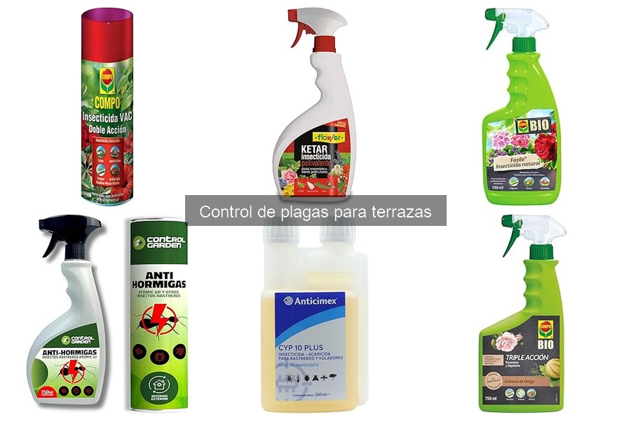 Cómo prevenir plagas en terrazas: consejos esenciales