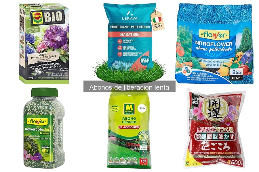 Cómo saber si el abono de liberación lenta es ideal para tus plantas