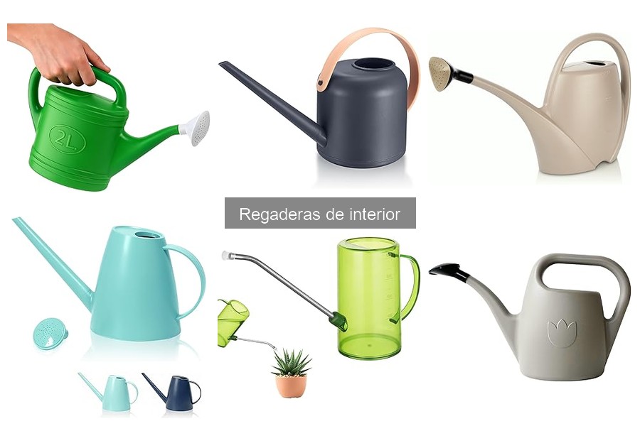 Cómo usar correctamente una regadera de interior