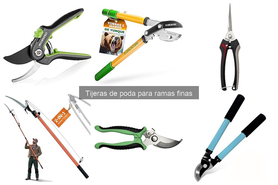 Cómo usar tijeras de poda sin dañar tus plantas