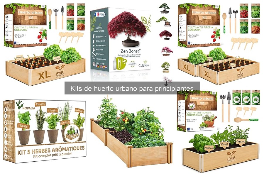 Cómo usar un kit de huerto urbano en casa fácilmente