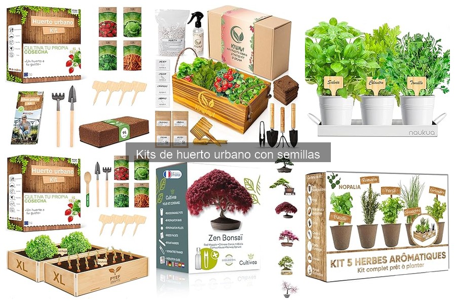 Cómo usar un kit de huerto urbano: guía práctica