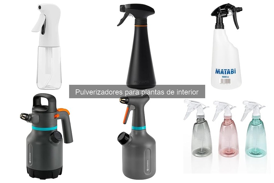 Cómo Usar un Pulverizador para Plantas de Interior