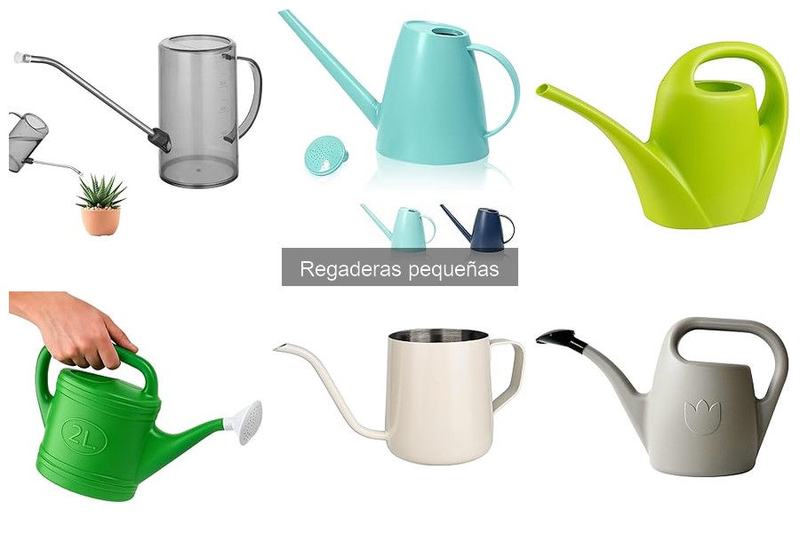 Cómo utilizar correctamente una regadera pequeña