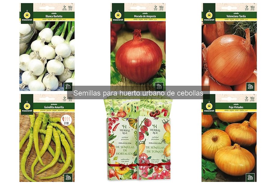 Comparativa de cebollas: blancas, amarillas y moradas