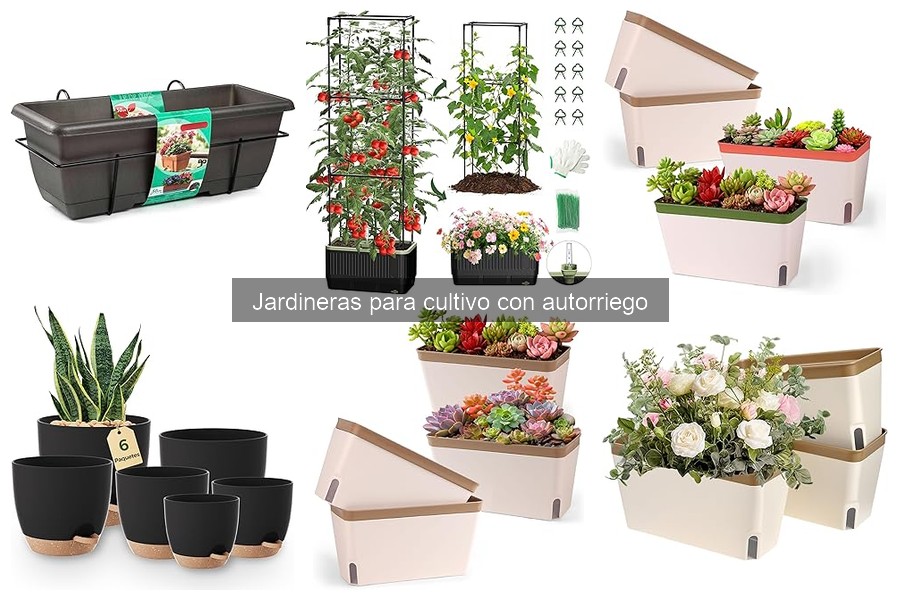 Comparativa de jardineras con autorriego: calidad y precios