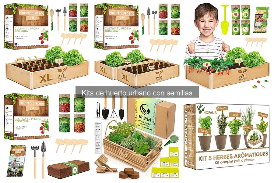 Comparativa de Kits de Huerto Urbano: Calidad y Precio