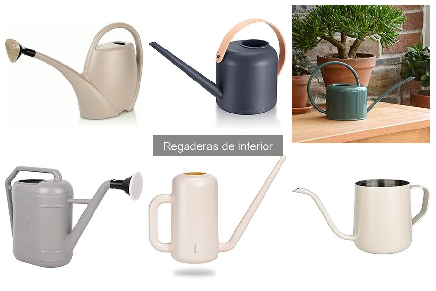 Comparativa de las mejores regaderas de interior 2023