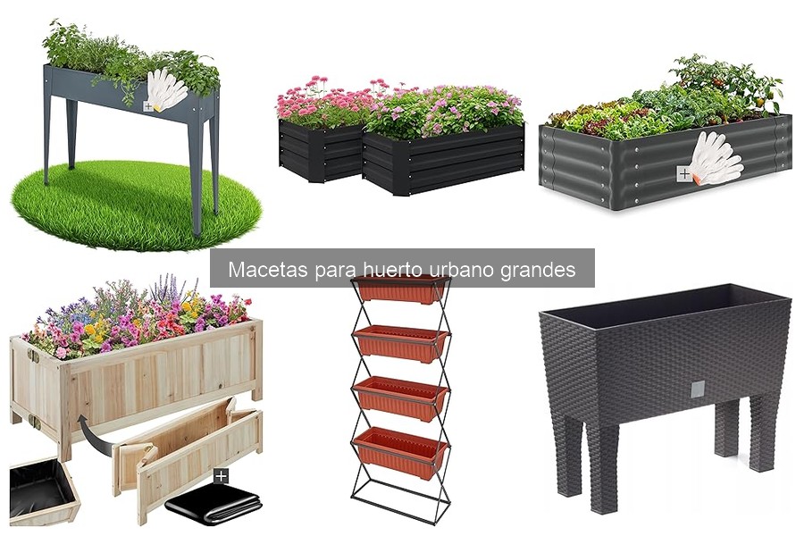 Comparativa de macetas grandes: plástico vs cerámica