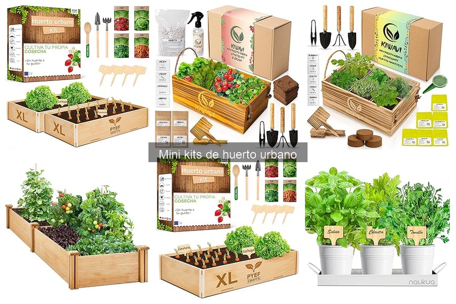 Comparativa de mini kits de huerto urbano: ¿Cuál elegir?