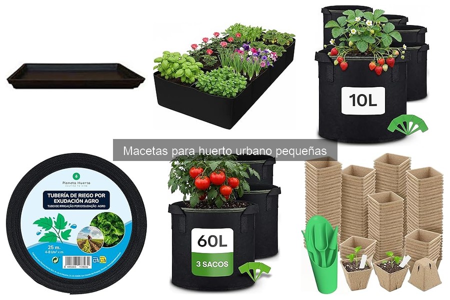 Comparativa de precios de macetas pequeñas para huerto urbano