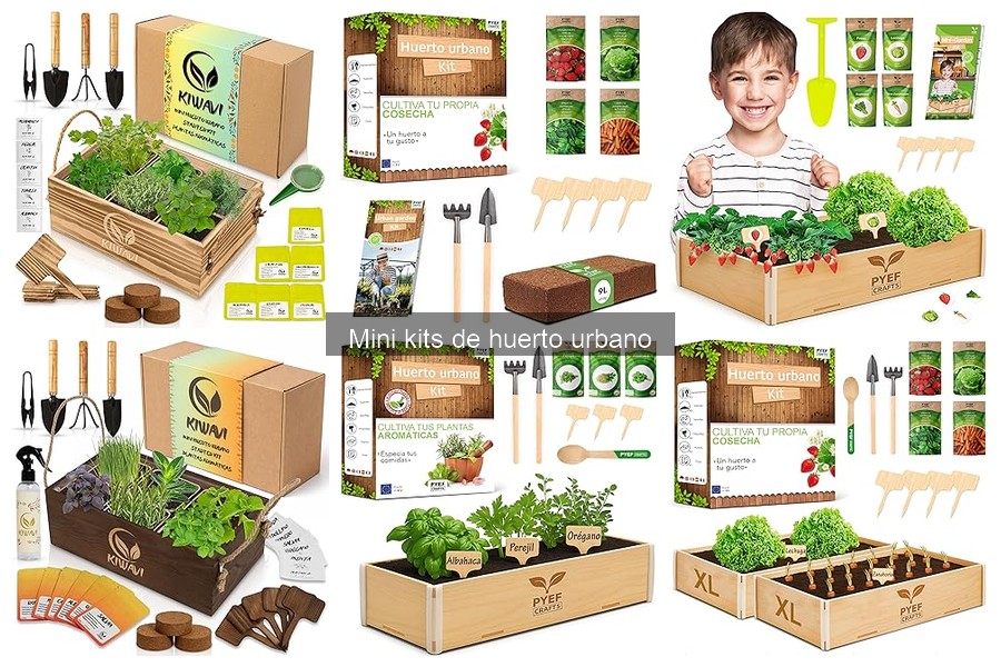 Comparativa de precios de mini kits de huerto urbano