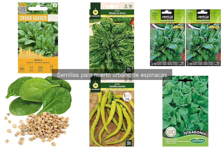 Comparativa de precios de semillas de espinacas online