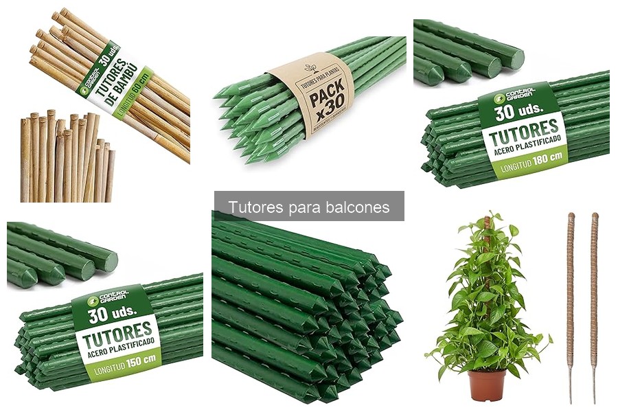 Comparativa de Precios de Tutores para Balcones en 2023