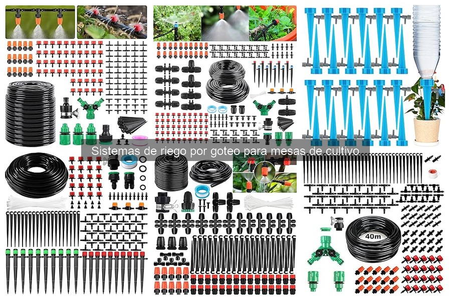 Comparativa de riego por goteo automático vs manual