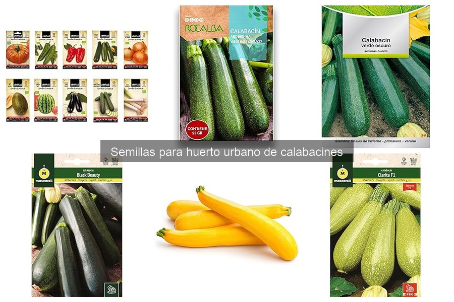 Comparativa de Semillas de Calabacín: Mejores Marcas 2023