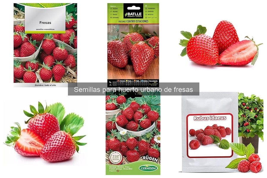 Comparativa de Semillas de Fresa: Mejores Marcas para Cultivar