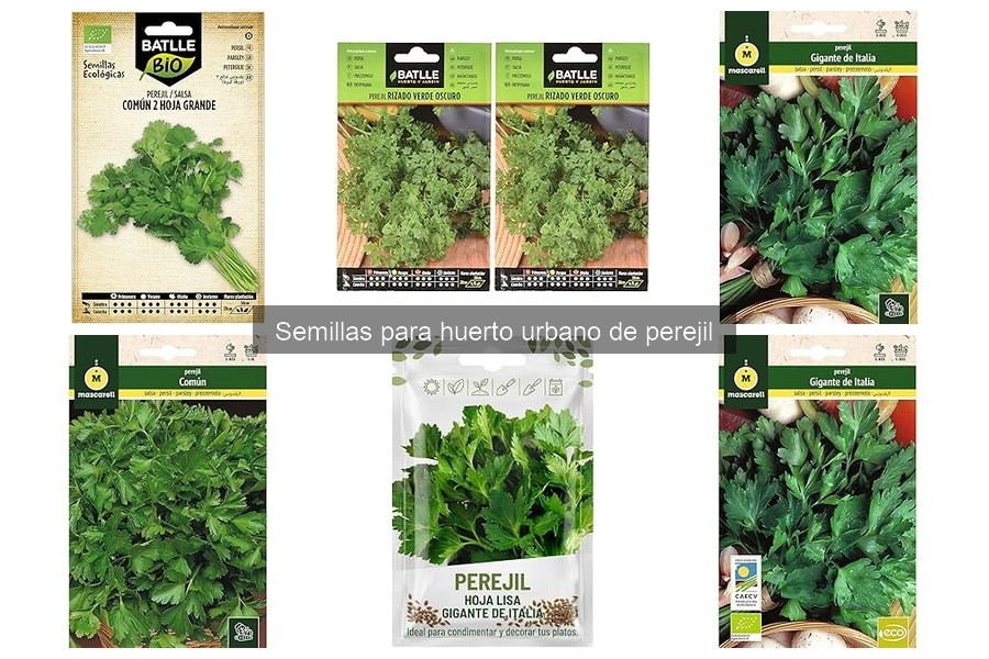 Comparativa de Semillas de Perejil: Batlle vs Mascarell