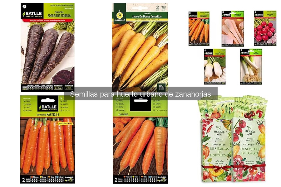 Comparativa de Semillas de Zanahoria: Mejores Marcas