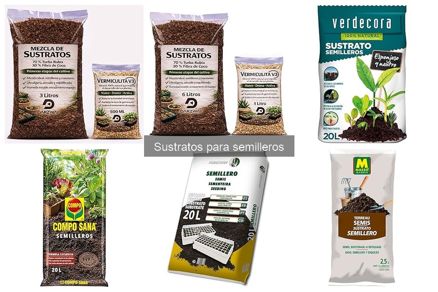 Comparativa de Sustratos Orgánicos e Inorgánicos para Semilleros