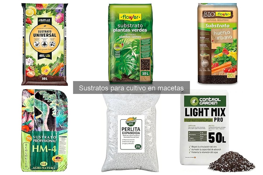 Comparativa de Sustratos para Cultivo en Macetas: Mejores Marcas