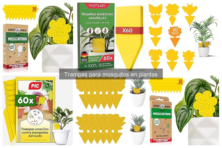 Comparativa de trampas para mosquitos: eléctricas vs. adhesivas