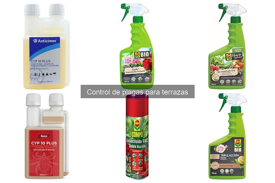 Comparativa de trampas para plagas en terrazas