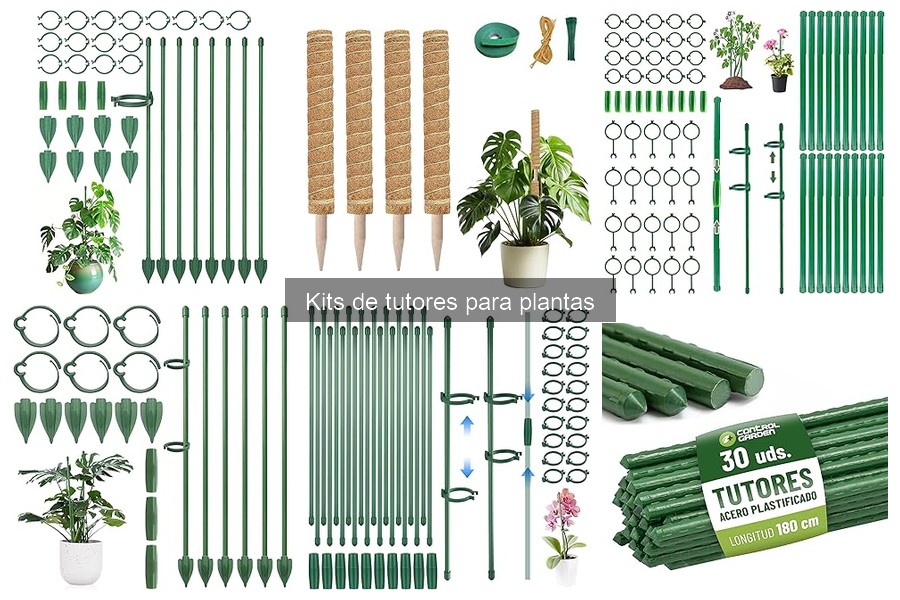 Comparativa de Tutores para Plantas: Elige el Mejor para Ti