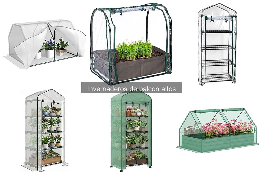 Comparativa: Invernaderos de balcón altos vs. tradicionales