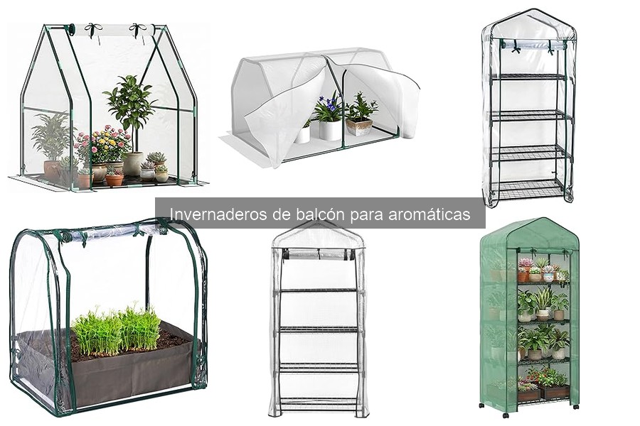 Comparativa: Invernaderos de balcón vs. tradicionales