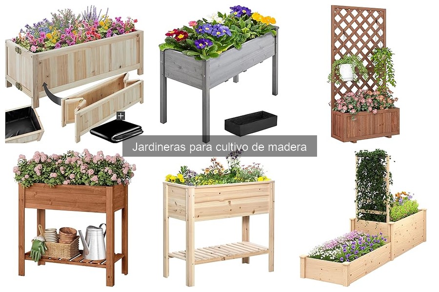 Comparativa: Jardineras de Madera vs. Plástico para Cultivo