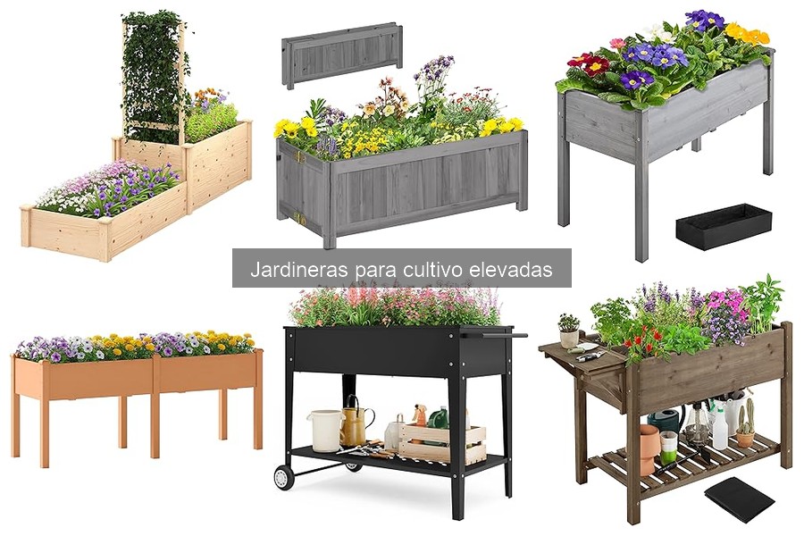 Comparativa: Jardineras Elevadas de Madera vs. Plástico