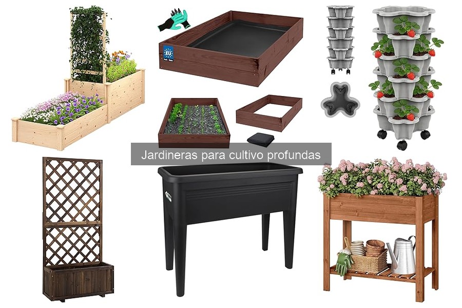 Comparativa: Jardineras profundas vs. tradicionales para cultivo