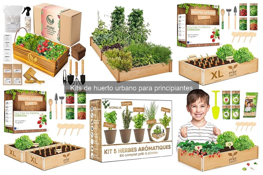 Comparativa: Kits de Huerto Urbano vs. Huertos Tradicionales