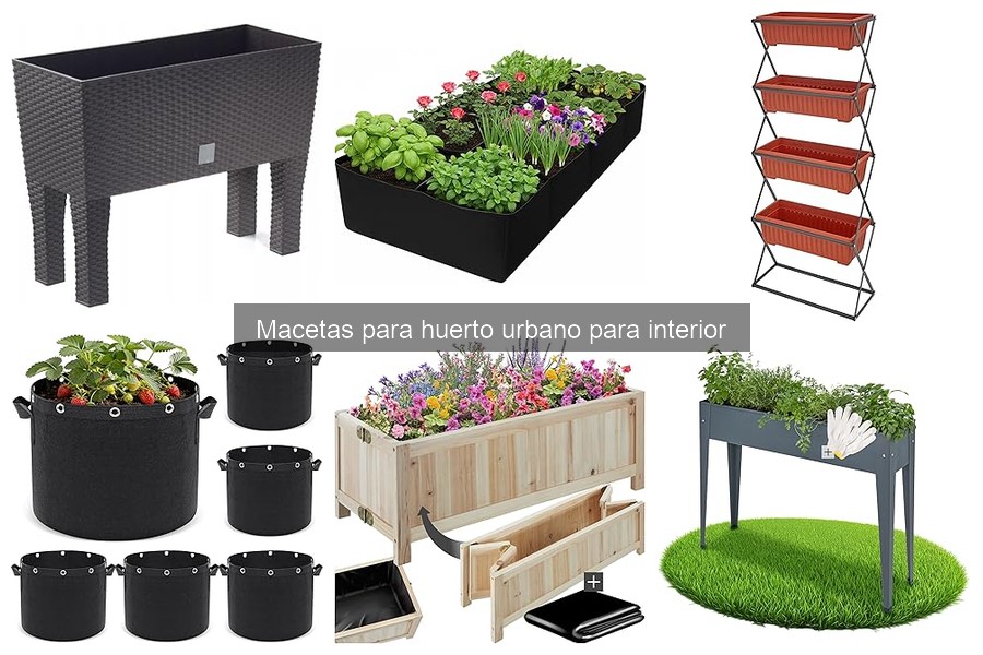 Comparativa Macetas Autorriego vs Tradicionales para Huerto Urbano