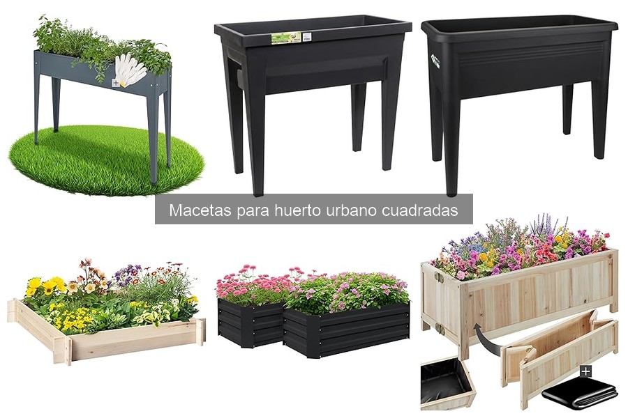 Comparativa: Macetas cuadradas vs. redondas y rectangulares