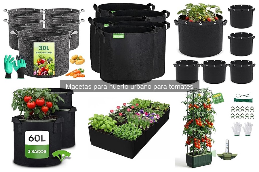 Comparativa: Macetas de barro vs. plástico para tomates