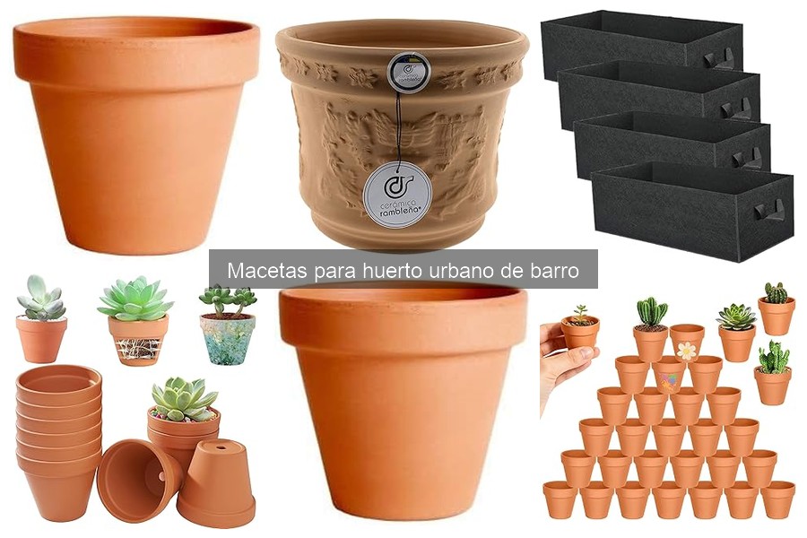 Comparativa: Macetas de barro vs plástico y cerámica