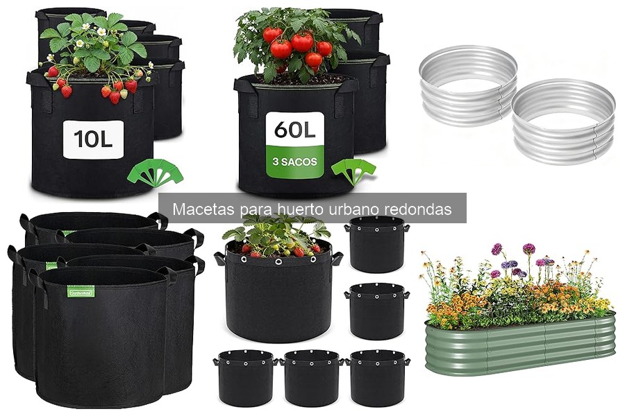 Comparativa: Macetas Redondas vs Cuadradas para Huerto Urbano