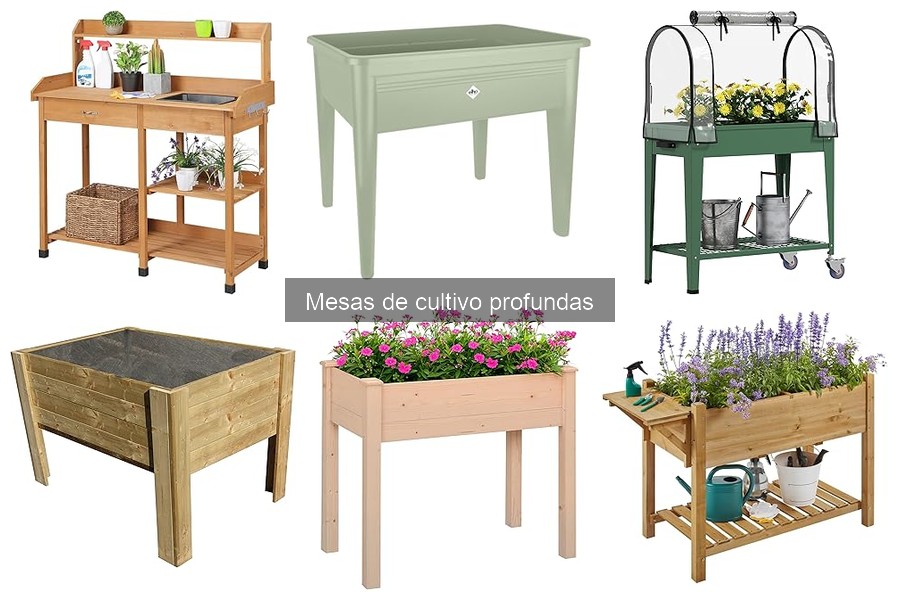 Comparativa: Mesas de Cultivo Profundas vs. Tradicionales