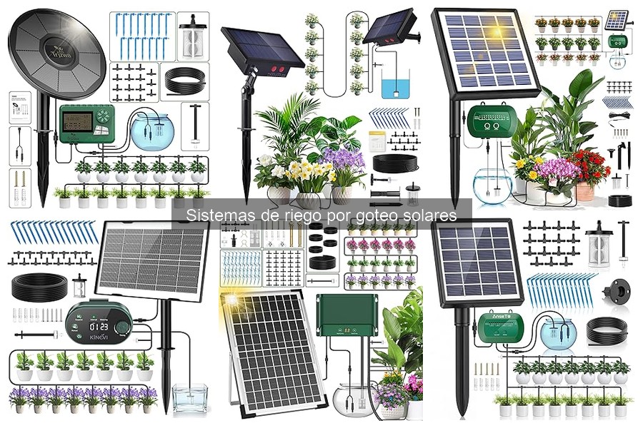 Comparativa: Riego por Goteo Solar vs. Eléctrico