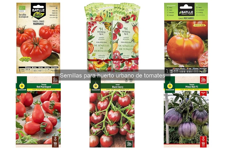 Comparativa: Semillas de tomate híbridas vs. orgánicas