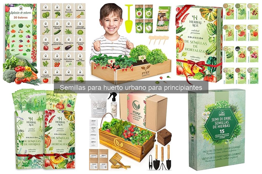 Comparativa: Semillas orgánicas vs. no orgánicas para huertos