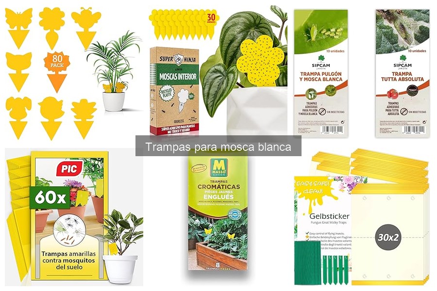 Comparativa: Trampas Adhesivas vs. Captura Luminosa para Mosca Blanca