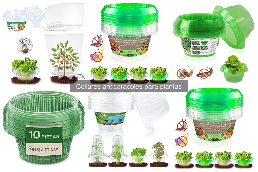 Compra collares anticaracoles al mejor precio aquí