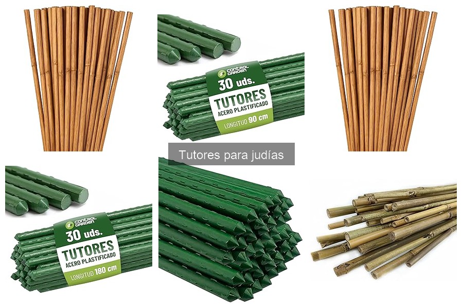 Consejos para el Mantenimiento de Tutores para Judías