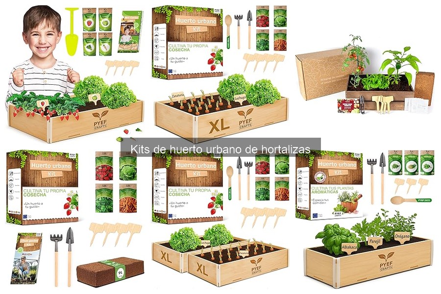 Consejos para mantener tu kit de huerto urbano de hortalizas