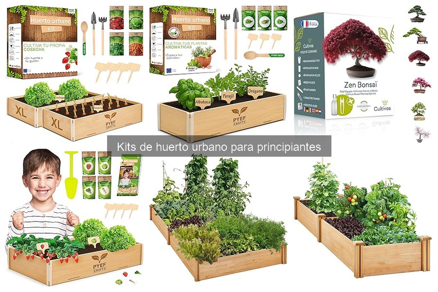 Consejos para Maximizar el Rendimiento de tu Kit de Huerto Urbano
