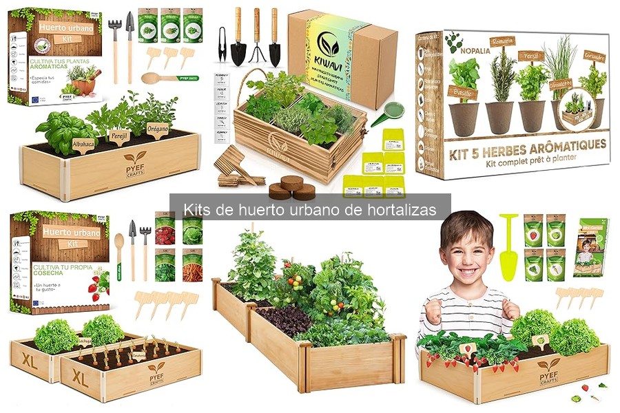 Consejos para Maximizar la Producción en Kits de Huerto Urbano